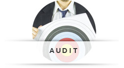 Audit